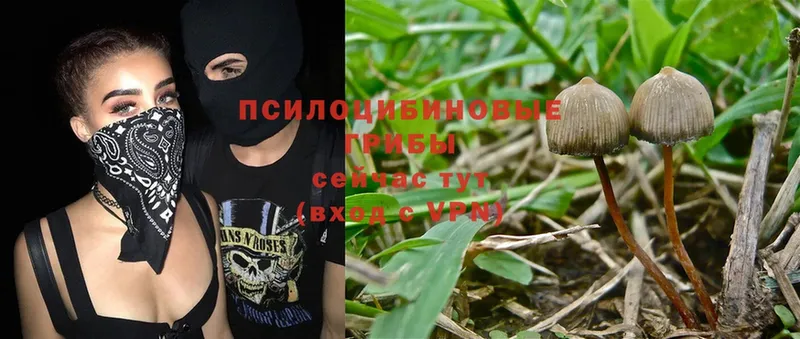 Где можно купить наркотики Ялуторовск АМФ  Alpha PVP  ГАШИШ  Меф мяу мяу  Cocaine 